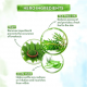 Mamaearth Tea Tree Face Wash 100ml Mamaearth Tea Tree Face Wash 100ml