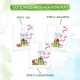 Mamaearth Onion and Plant Keratin Hair Growth Shampoo 250ml Mamaearth Onion and Plant Keratin Hair Growth Shampoo 250ml